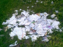 И я находил гору писем под Самарой лет так 5 назад. Писал руководству почты. Они забрали из леса.......