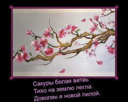 Потрясающе красивые улицы в тени садов и деревьев