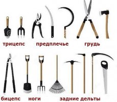 Открытки (очередная подборка из коллекции)