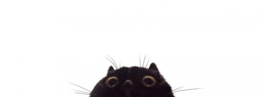 Сломанная челюсть подарила кошке загадочную "улыбку Моны Лизы"