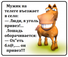 Смешные комментарии из соцсетей и не только #29