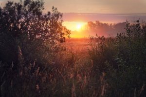 а русская деревня самая прекрасная в этом посте)да и в целом тоже)