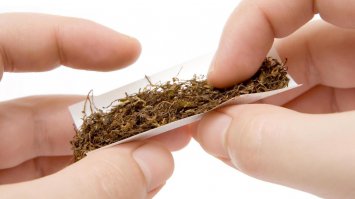 У нас это не пройдет. Если слишком задерут цены - будут сажать самосад и курить самокрутки!