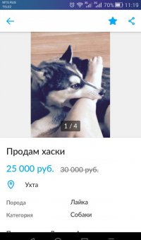 Рассмотрю варианты обмена на протез ноги.