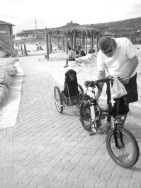 5 фактов о собаках, не обижайте их