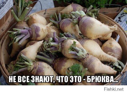 Кого еще критикует Юрий Лоза