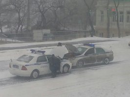 Свежая подборка автоприколов
