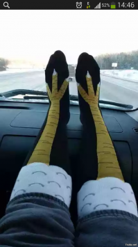 Сексуальные девушки и красивые автомобили