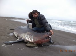 Очень красивое место- Камчатка! Память на всю жизнь!