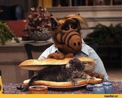 спустя столько лет... а привязанность к булкам осталась