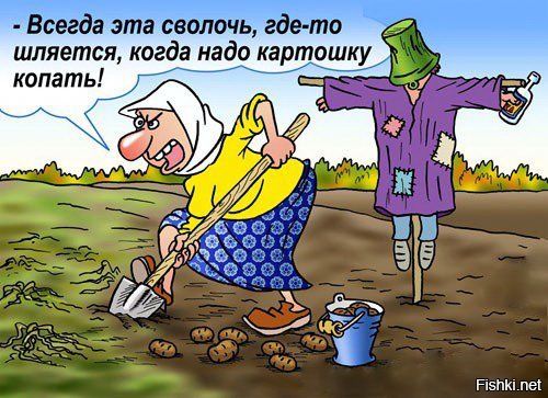 а у меня на огороде ведро рассохлось...