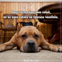 некоторых загрызли до смерти, но не бросили ни одного - факт..