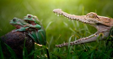 Одному мне кажется, что за секунду до-это как на втором фото?