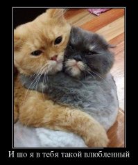 Демотиваторы 05.05.16