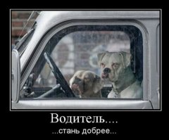 Авточмо - доска позора водителей