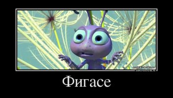 Божья коровка сильнее муравьев