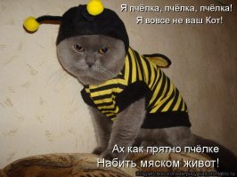 5 фактов о пчелах, которые изменят ваше представление о них