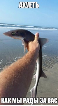 15 фото, глядя на которые, вы почувствуете себя неуютно