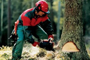 можно продолжать еще очень долго...:)