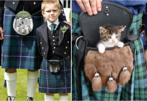Шотландцы прикольные