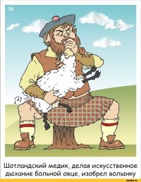 Тем временем в Шотландии