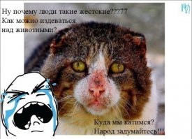 Девушка нашла старый чемодан в парке. Когда она заглянула внутрь, ее сердце разбилось