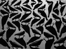 85% людей увидят не то, что на самом деле нарисовано 