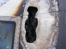 Думаю, что молния молнии рознь. Если бахнет сильный разряд (такой, что через самолет насквозь пройдет уйдет в землю, то никакой корпус не защитит. Ток в миллион ампер прожигает дыру в обшивке с обеих сторон и выводит из строя половину электроники.