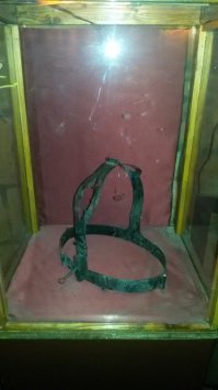 А как же груша? Думаю приятного там тоже было мало.
Был совсем недавно в Амстердаме, заглянул в музей пыток. Некоторые фото (собственно, груша на второй):