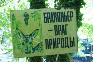 У нас в Латвии ловля около мостов запрещена!