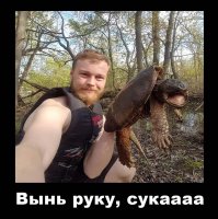 Бедная черепашка