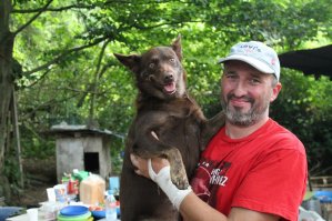 СОБАКИ - ЛЮБЛЯКИ, ИГРАКИ, ЛИЗАКИ, ЗАБИЯКИ, ИСКАКИ, КУСАКИ, ОХРАНЯКИ И ОТВАЖНЫЕ ВОЯКИ!!!( Вояки - в самом лучшем смысле слова ВОИНЫ).
Спасибо огромное им за все!!!