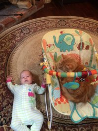 Запомни, личинка человека. - В этом доме есть только один хозяин.