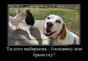 Демотиваторы