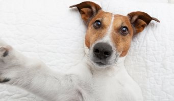 тоже мужик ))