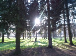 Зима, уходи!