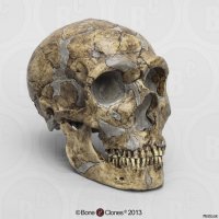 да уж, клыки изменились дальше некуда