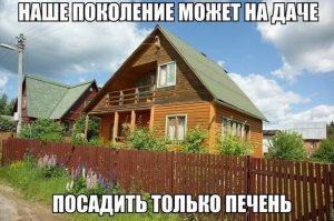 Какое поколение ?
Я к примеру посадил яблони, пару ореха, вора ну и печень..