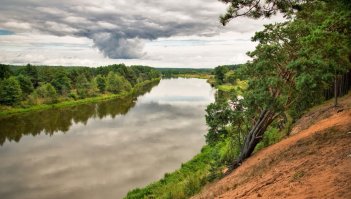 Спасибо.Вот ещё парочка фотографий,тоже Вилии