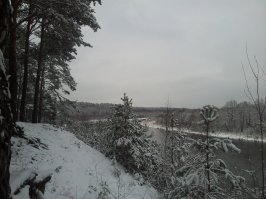 Спасибо.Вот ещё парочка фотографий,тоже Вилии