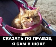 Неожиданно