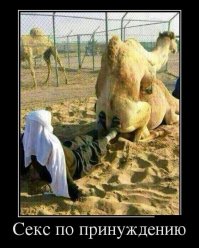 Это скорей - секс втроём!