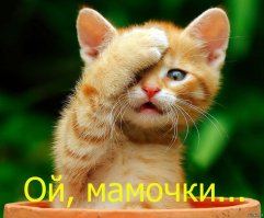 Девушка нашла старый чемодан в парке. Когда она заглянула внутрь, ее сердце разбилось