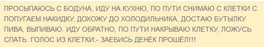 Подборка картинок со смешными подписями