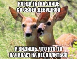 а ниче шо на фотке две "женщины"?