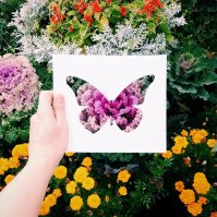 Фотограф облачает голых женщин в свет и тени 