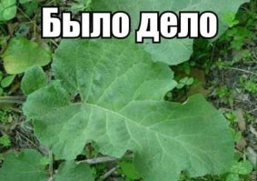 АААА, сцуко! Было было.