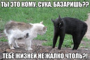 На такие сцены в реальности я могу смотреть вечно))))