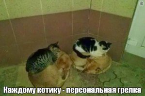 Собственно, по теме: доминируй, властвуй, унижай!