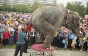 Пошутить можно на тему других опасных профессий :)))